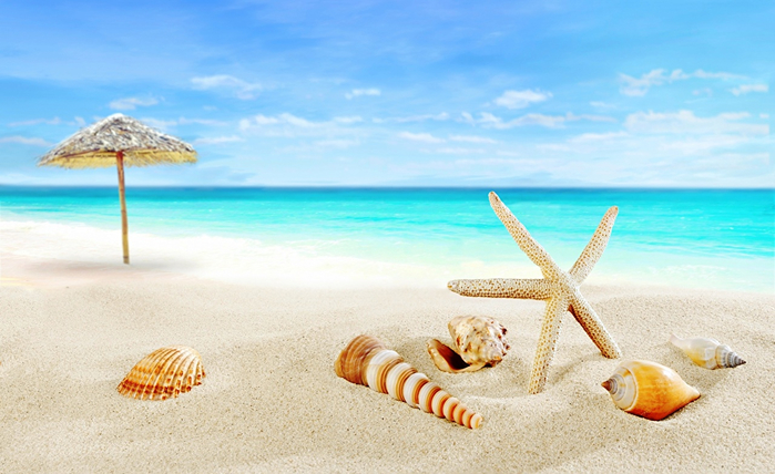 Shells_Sea_Starfish_Summer_Beach_Sand_527980_1280x784 (700x428, 320Kb)