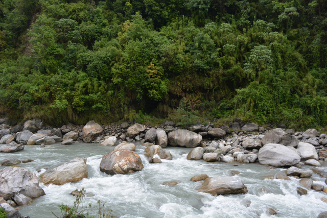 DSC_0901 (640x427, 282Kb)