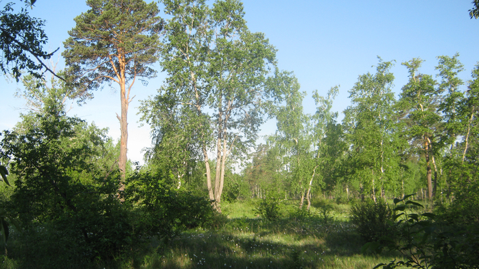 IMG_3779 (700x392, 467Kb)
