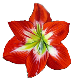 283 (250x271, 117Kb)