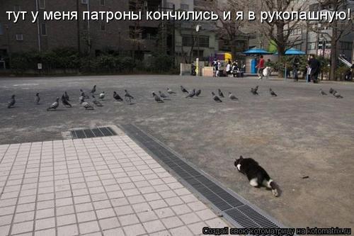 4743317_0Md (500x333, 32Kb)