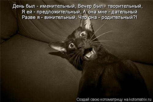 4743317_2y (500x333, 23Kb)