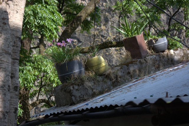 DSC_0927 (640x427, 274Kb)