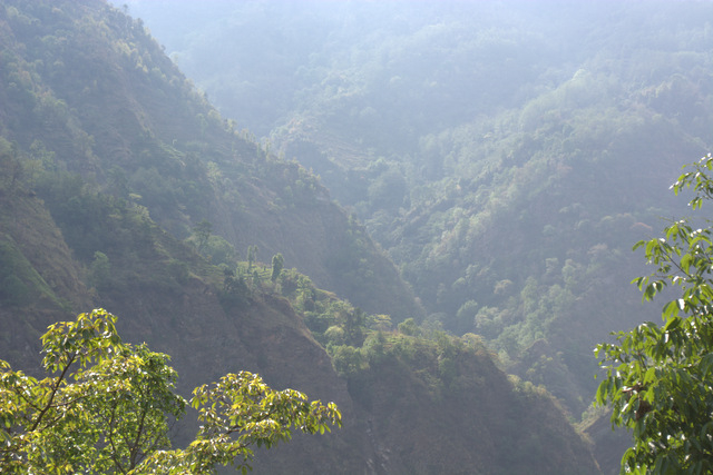 DSC_0936 (640x427, 225Kb)
