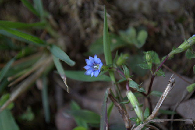 DSC_0940 (640x427, 159Kb)