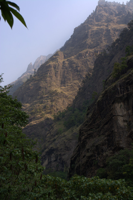 DSC_0247 (427x640, 213Kb)