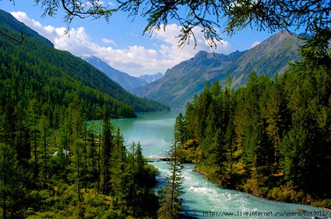 gornyj-altay3 (650x431, 220Kb)
