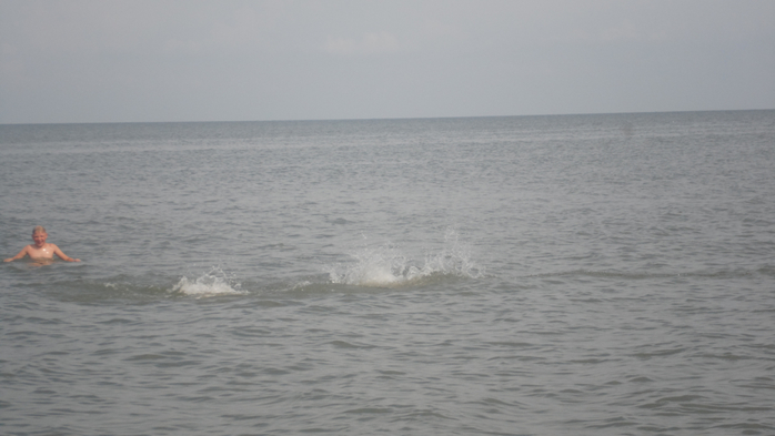 SAM_2170 (700x393, 196Kb)