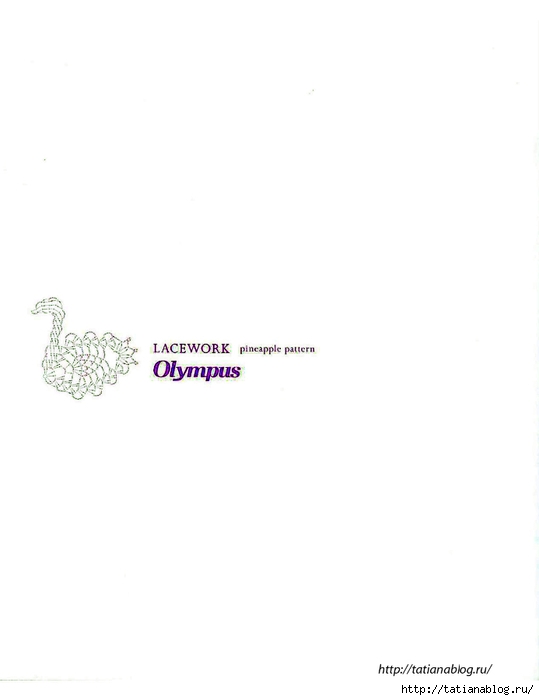 Asahi_Original_-_Lacework_Pineapple_Pattern_100.page84 copy (539x700, 37Kb)
