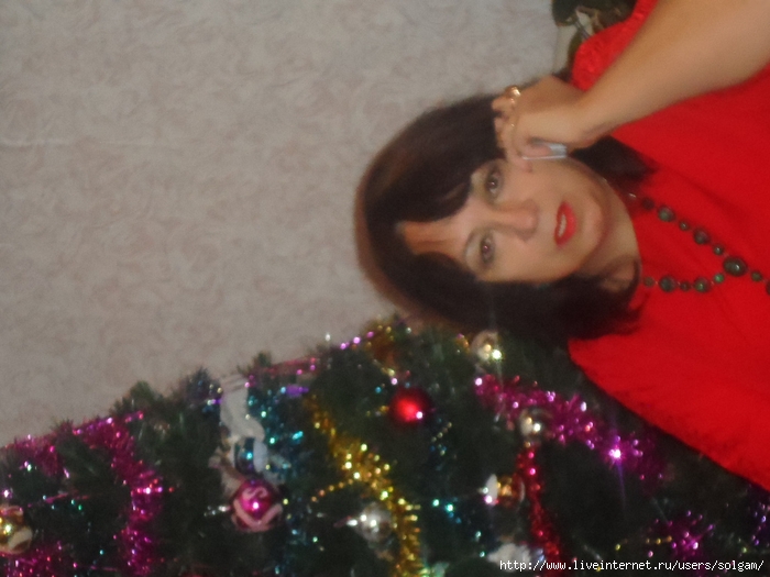 SAM_2819 (700x525, 228Kb)