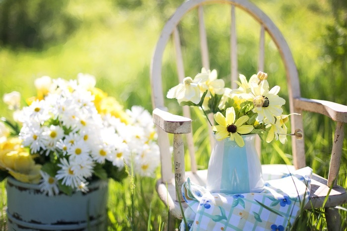 blossom-plant-flower-summer-spring-green-backyard-yellow-garden-flora-still-life-flowers-ceremony-daisies-floristry-flowering-plant-flower-bouquet-floral-design-flower-arranging-985373 (700x466, 100Kb)