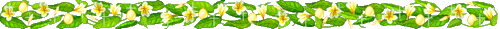 0_febb8_77418cca_Lжпа (500x29, 26Kb)
