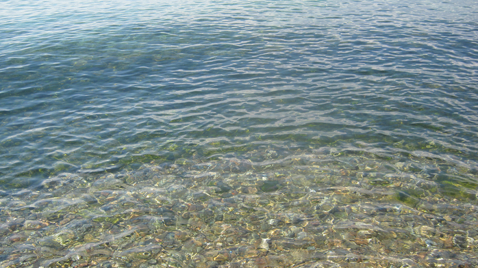 IMG_4122 (700x392, 454Kb)