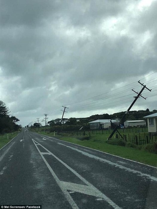 Водитель грузовика проехал сквозь торнадо в Новой Зеландии