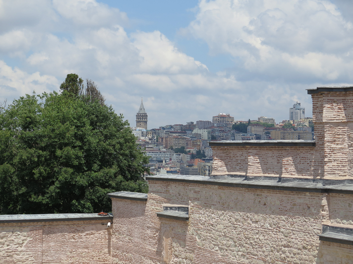IMG_8368 (700x525, 454Kb)