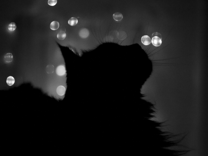 350082904 (700x525, 54Kb)