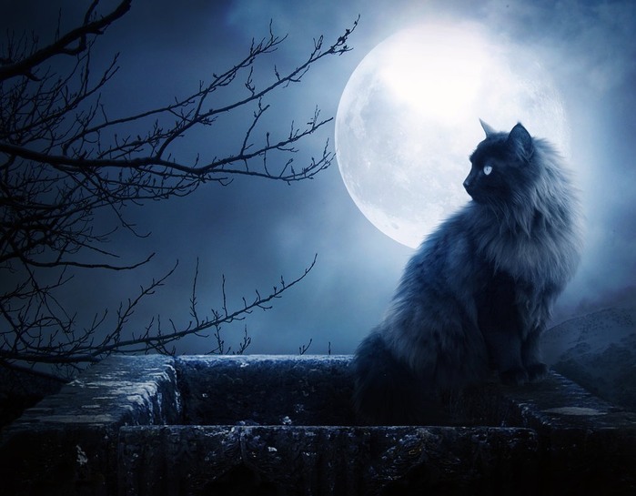 everlasting-full-moon-wallpaper-5419 (700x545, 80Kb)