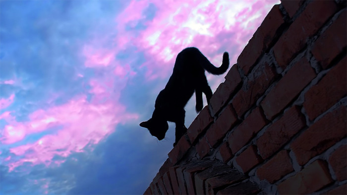 734_457929 (700x393, 58Kb)