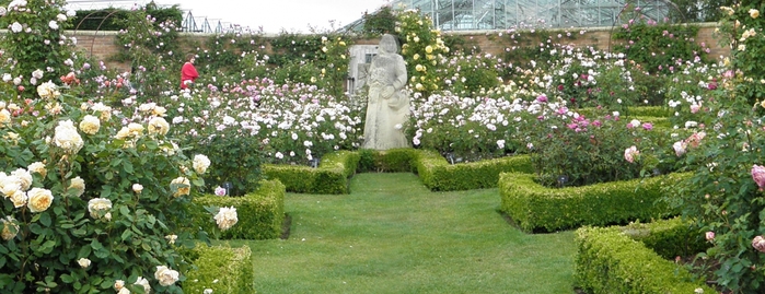 David Austin Roses Garden (Сад роз Дэвида Остина). Обсуждение на