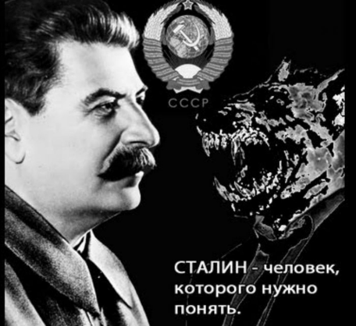 Сталин человек, которого нужно понять (700x642, 164Kb)