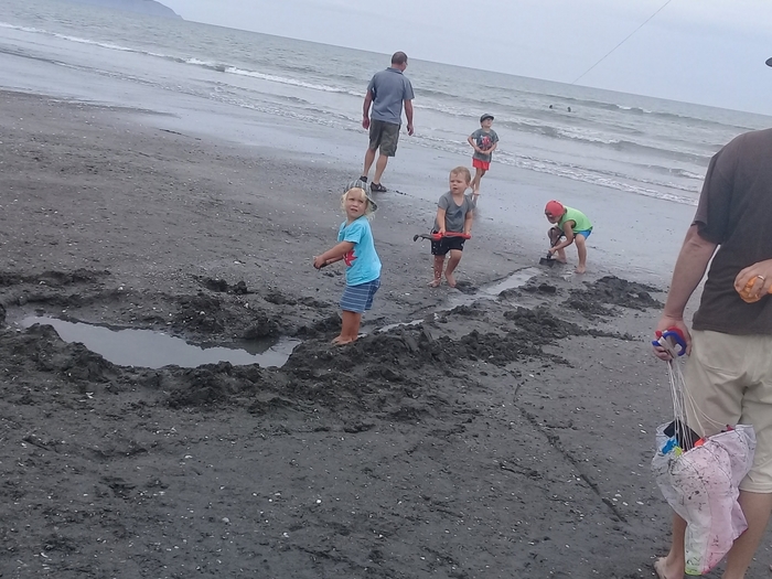 4061676_20180210_121657 (700x525, 266Kb)