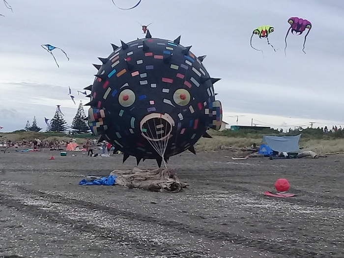 4061676_20180210_124453 (700x525, 261Kb)