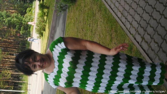 SAM_2905 (700x393, 257Kb)