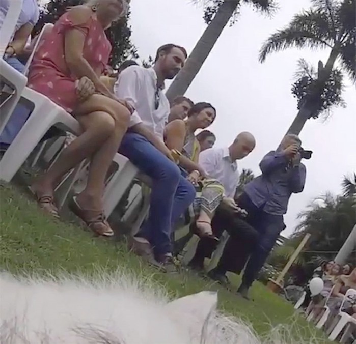 Свадьбу молодоженов снимал их верный пес: камера в лапках
