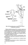  1grigor_eva_o_nurzhasarova_m_praktikum_po_individual_nym_zaka-114 (448x700, 138Kb)