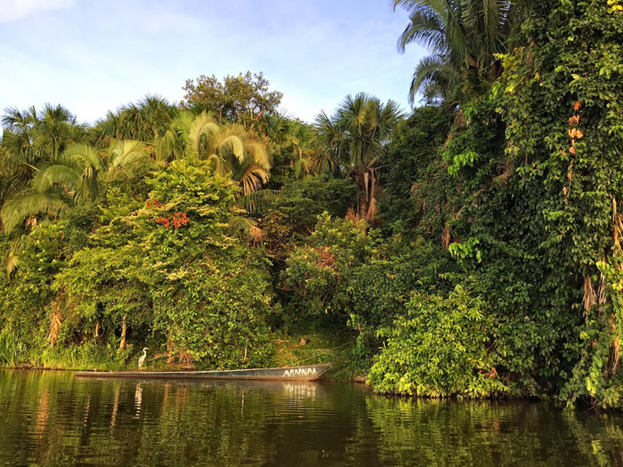 amazonia002_peru (700x525, 550Kb)