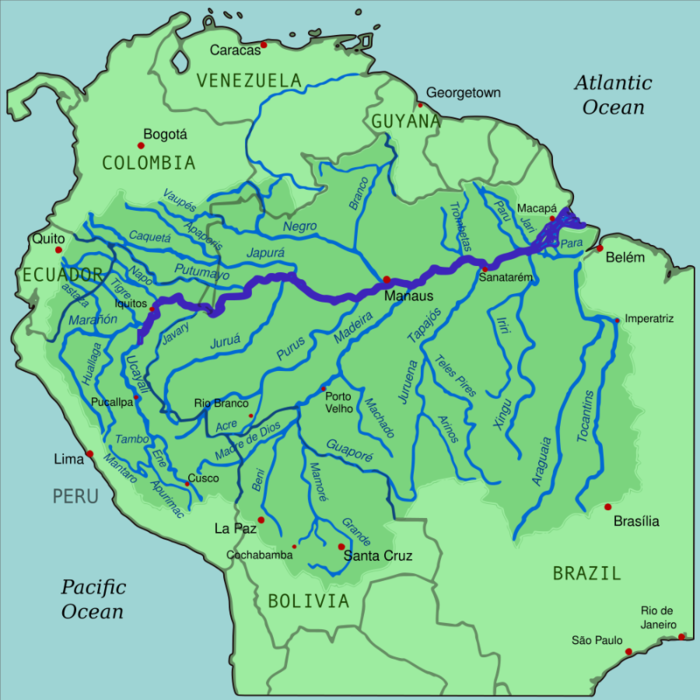 Amazonrivermap.svg (700x700, 329Kb)