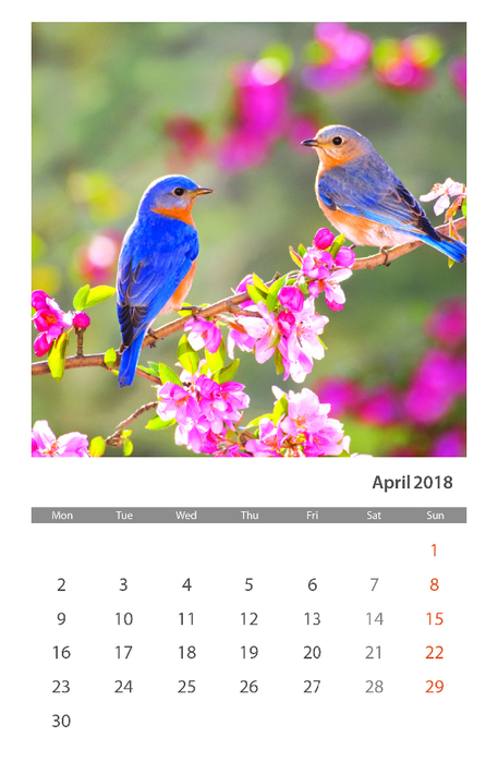 1 Calendar 2018 Aprilie (2) (457x700, 274Kb)