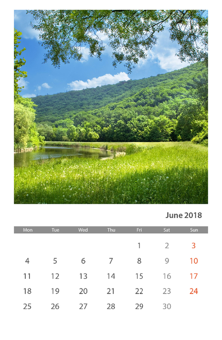 1 Calendar 2018 Iunie (2) (457x700, 321Kb)