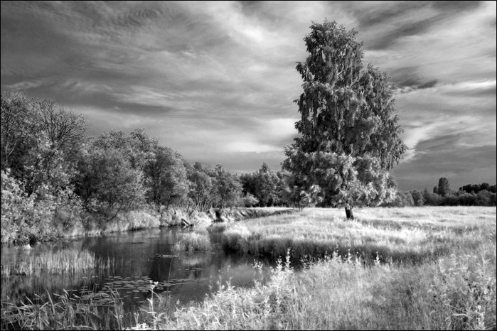 1157314568 (700x466, 221Kb)