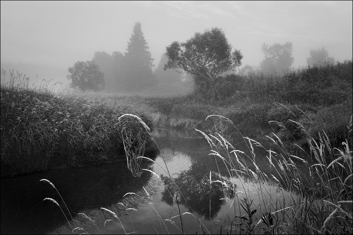 1946322 (700x466, 207Kb)