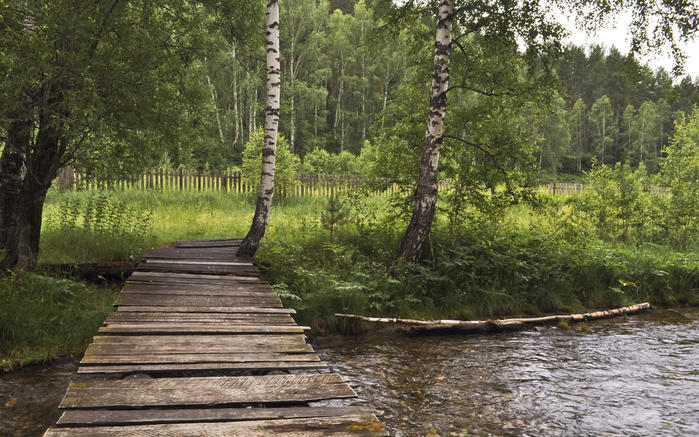 priroda-rechka-mostik-nature-river-bridge-forest-les-trava-g (700x437, 438Kb)