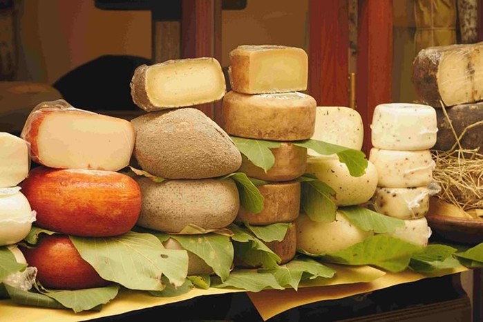 5 самых полезных видов сыра