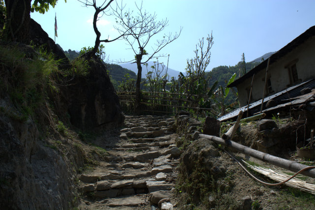 DSC_0068 (640x427, 214Kb)
