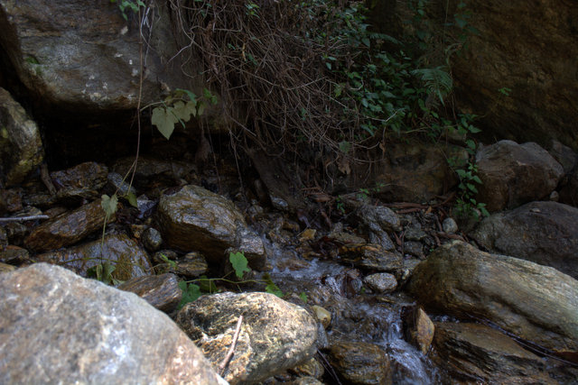 DSC_0092 (640x427, 224Kb)