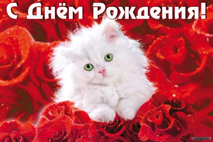   (700x466, 102Kb)