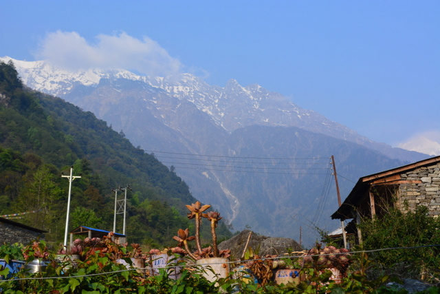 DSC_0387 (640x427, 308Kb)