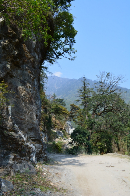 DSC_0401 (427x640, 356Kb)
