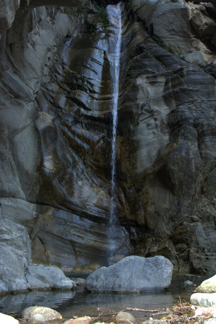 DSC_0413 (427x640, 196Kb)