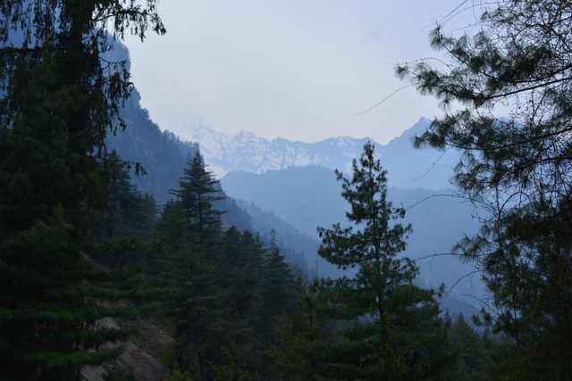 DSC_0457 (640x427, 279Kb)
