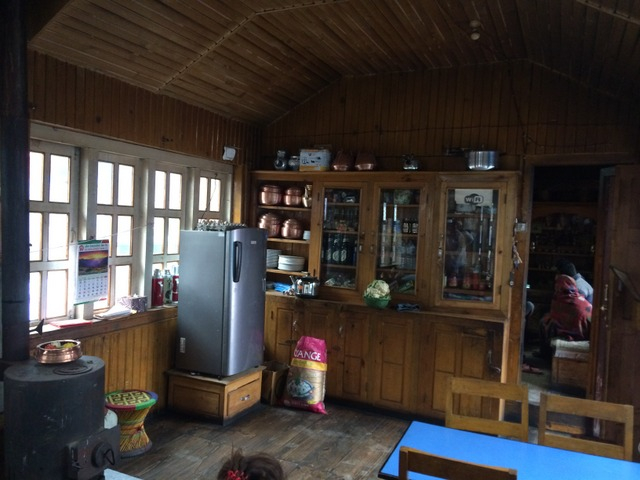 IMG_3913 (640x480, 223Kb)