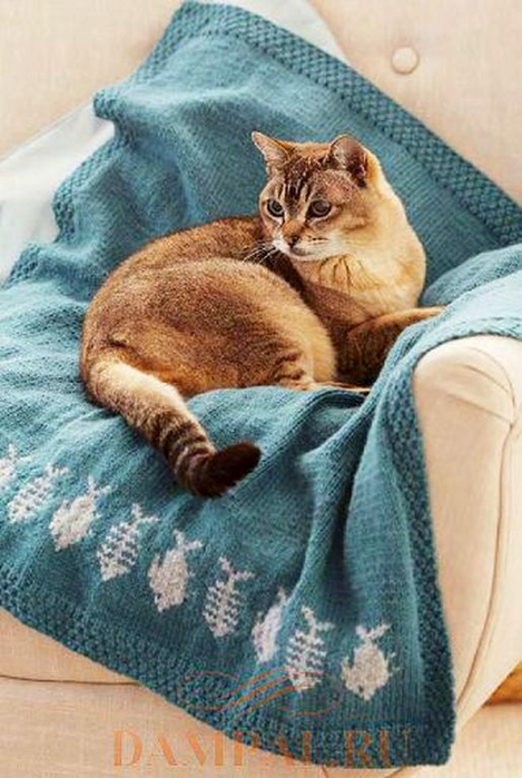 catblanket (469x700, 338Kb)