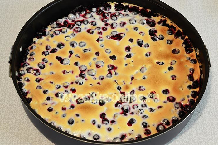 Pirog-tort-so-smorodinoy-Shag-11-740x492 (700x465, 386Kb)