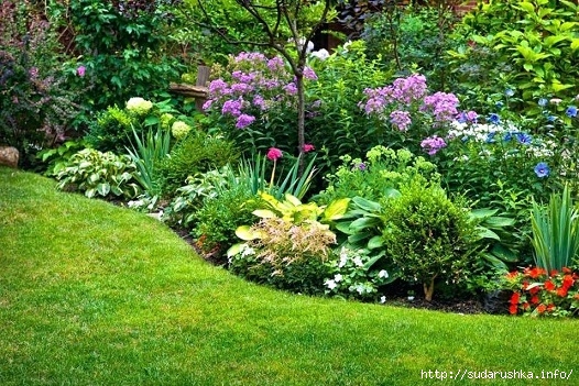 flower-garden-design-ideas-best-of-perennial-garden-design-tips-for-growing-perennial-flower-gardens-perennial-garden-ideas-the-most-perennial-garden-ideas-raised-bed-flower-garden-d (526x351, 251Kb)
