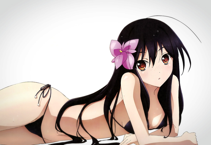 chan.sankakucomplex.com - 2771017 - accel_world ahoge bikini bikini_top bla...