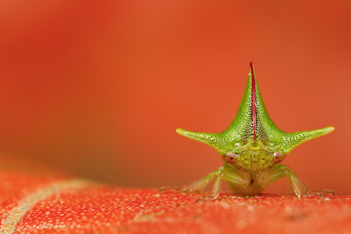 637d598df12ce252d55114be3831a465 (700x466, 73Kb)
